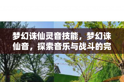 梦幻诛仙灵音技能，梦幻诛仙音，探索音乐与战斗的完美融合