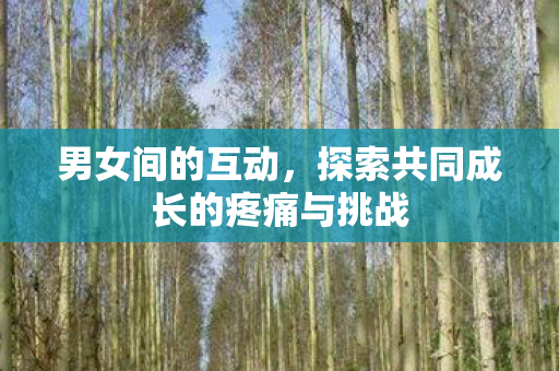 男女间的互动,探索共同成长的疼痛与挑战 男女间的互动,探索共同成长的疼痛与挑战