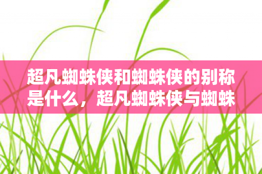 超凡蜘蛛侠和蜘蛛侠的别称是什么,超凡蜘蛛侠与蜘蛛侠,英雄背后的不同与传承 超凡蜘蛛侠和蜘蛛侠的别称是什么,超凡蜘蛛侠与蜘蛛侠,英雄背后的不同与传承