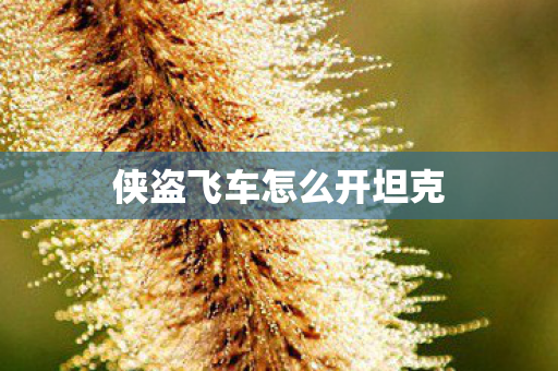 侠盗飞车怎么开坦克 侠盗飞车怎么开坦克