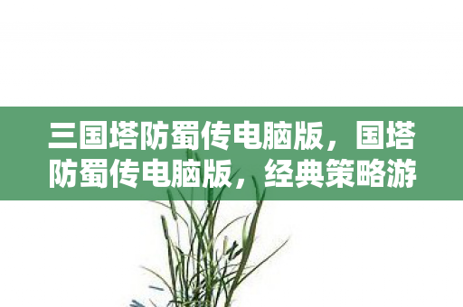 三国塔防蜀传电脑版，国塔防蜀传电脑版，经典策略游戏的全新体验
