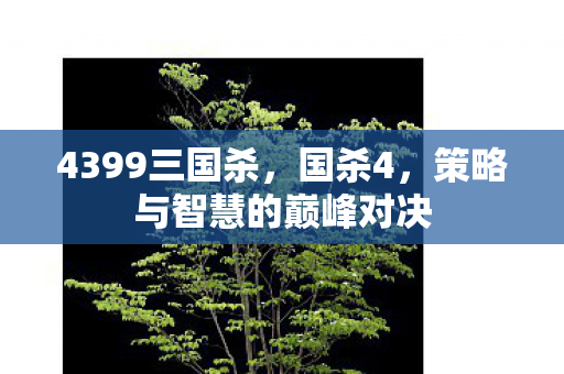 4399三国杀，国杀4，策略与智慧的巅峰对决