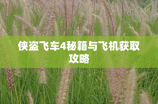 侠盗飞车4秘籍与飞机获取攻略 侠盗飞车4秘籍与飞机获取攻略