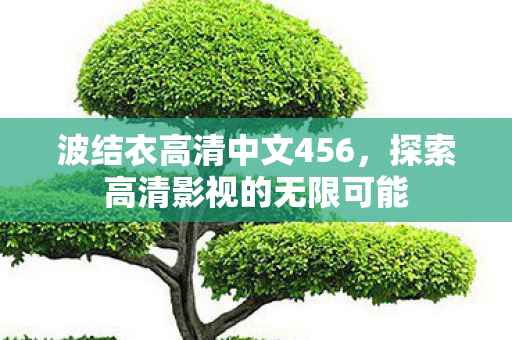 波结衣高清中文456，探索高清影视的无限可能