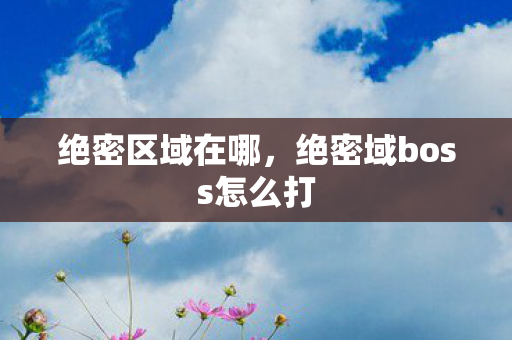 绝密区域在哪,绝密域boss怎么打 绝密区域在哪,绝密域boss怎么打