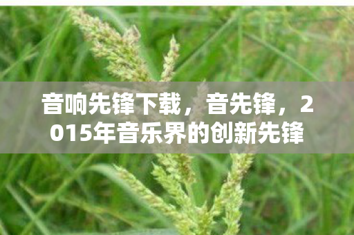 音响先锋下载，音先锋，2015年音乐界的创新先锋