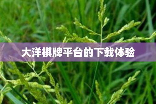 大洋棋牌平台的下载体验 大洋棋牌平台的下载体验
