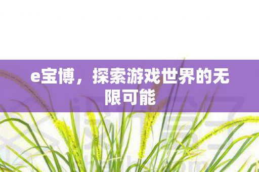 e宝博，探索游戏世界的无限可能