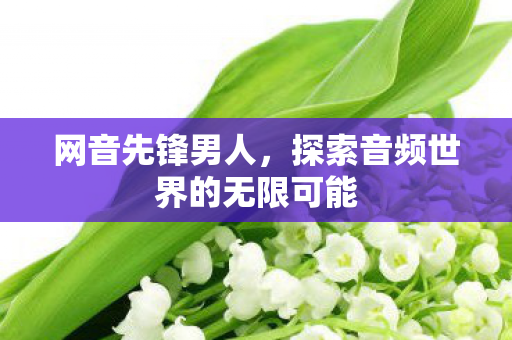 网音先锋男人，探索音频世界的无限可能