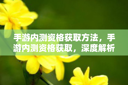 手游内测资格获取方法，手游内测资格获取，深度解析与攻略