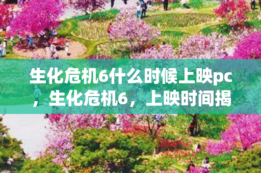 生化危机6什么时候上映pc，生化危机6，上映时间揭秘