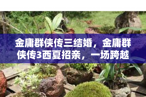 金庸群侠传三结婚,金庸群侠传3西夏招亲,一场跨越时空的武侠盛宴 金庸群侠传三结婚,金庸群侠传3西夏招亲,一场跨越时空的武侠盛宴