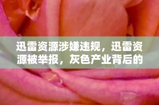 迅雷资源涉嫌违规，迅雷资源被举报，灰色产业背后的真相