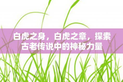白虎之身，白虎之章，探索古老传说中的神秘力量