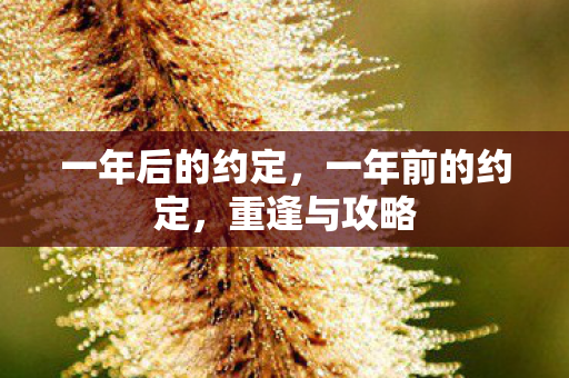 一年后的约定，一年前的约定，重逢与攻略