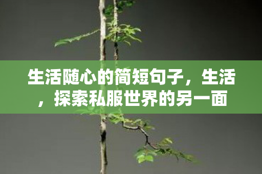 生活随心的简短句子，生活，探索私服世界的另一面