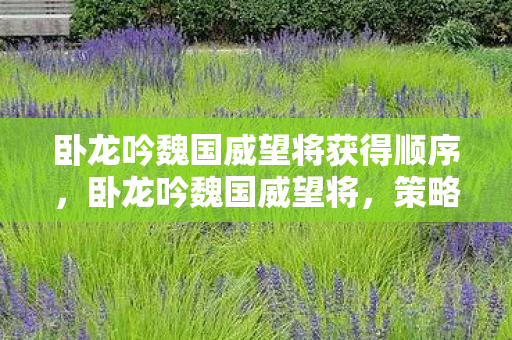 卧龙吟魏国威望将获得顺序，卧龙吟魏国威望将，策略与智慧的碰撞