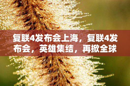 复联4发布会上海，复联4发布会，英雄集结，再掀全球热潮