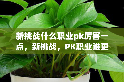 新挑战什么职业pk厉害一点，新挑战，PK职业谁更厉害？