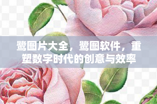 鹭图片大全,鹭图软件,重塑数字时代的创意与效率 鹭图片大全,鹭图软件,重塑数字时代的创意与效率