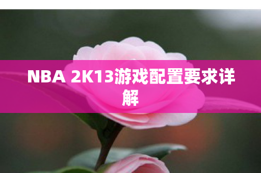 NBA 2K13游戏配置要求详解 NBA 2K13游戏配置要求详解