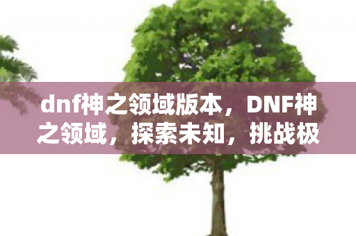 dnf神之领域版本，DNF神之领域，探索未知，挑战极限