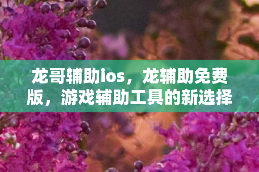 龙哥辅助ios，龙辅助免费版，游戏辅助工具的新选择