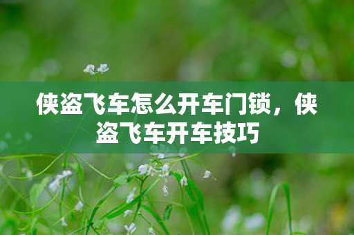 侠盗飞车怎么开车门锁,侠盗飞车开车技巧 侠盗飞车怎么开车门锁,侠盗飞车开车技巧