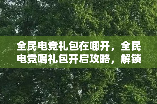 全民电竞礼包在哪开,全民电竞喝礼包开启攻略,解锁你的电竞福利! 全民电竞礼包在哪开,全民电竞喝礼包开启攻略,解锁你的电竞福利!