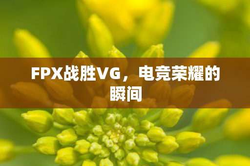 FPX战胜VG,电竞荣耀的瞬间 FPX战胜VG,电竞荣耀的瞬间