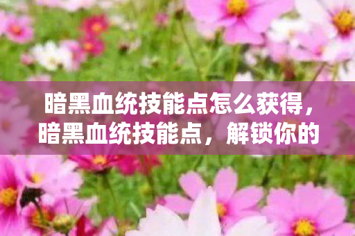 暗黑血统技能点怎么获得，暗黑血统技能点，解锁你的战斗潜能