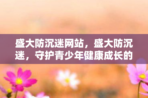 盛大防沉迷网站，盛大防沉迷，守护青少年健康成长的防线