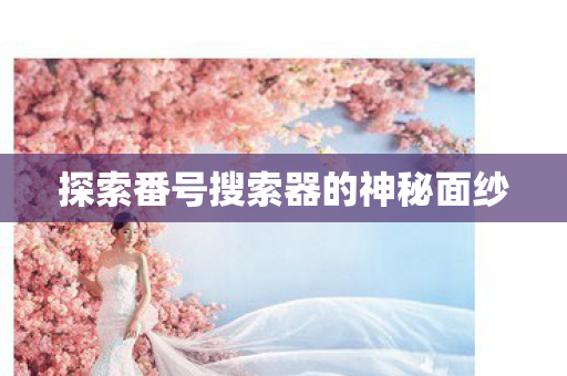 探索番号搜索器的神秘面纱 探索番号搜索器的神秘面纱