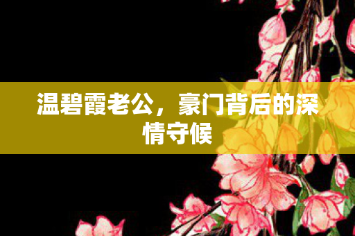 温碧霞老公，豪门背后的深情守候