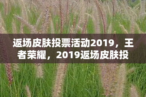 返场皮肤投票活动2019,王者荣耀,2019返场皮肤投票活动,唤醒你的经典记忆 返场皮肤投票活动2019,王者荣耀,2019返场皮肤投票活动,唤醒你的经典记忆