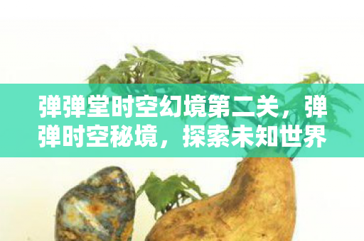弹弹堂时空幻境第二关,弹弹时空秘境,探索未知世界的奇妙旅程 弹弹堂时空幻境第二关,弹弹时空秘境,探索未知世界的奇妙旅程
