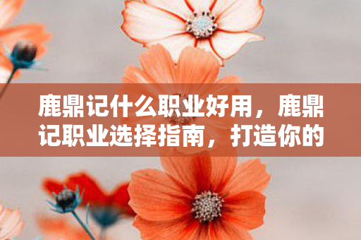 鹿鼎记什么职业好用，鹿鼎记职业选择指南，打造你的江湖之路