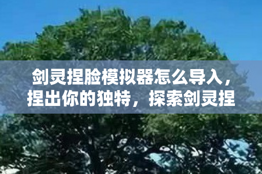剑灵捏脸模拟器怎么导入，捏出你的独特，探索剑灵捏脸模拟器的无限可能