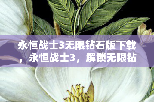 永恒战士3无限钻石版下载，永恒战士3，解锁无限钻石的终极攻略