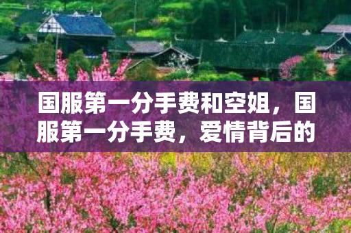国服第一分手费和空姐,国服第一分手费,爱情背后的经济密码 国服第一分手费和空姐,国服第一分手费,爱情背后的经济密码