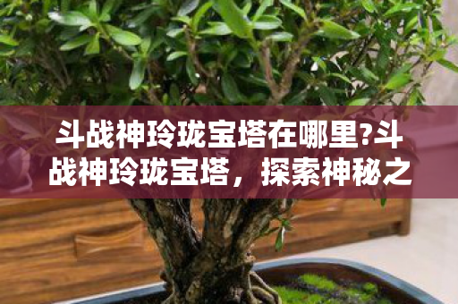 斗战神玲珑宝塔在哪里?斗战神玲珑宝塔，探索神秘之地的指南