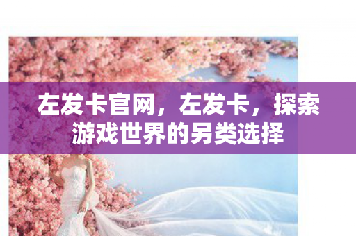 左发卡官网,左发卡,探索游戏世界的另类选择 左发卡官网,左发卡,探索游戏世界的另类选择