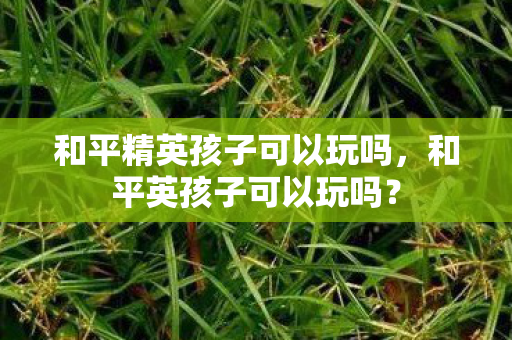 和平精英孩子可以玩吗,和平英孩子可以玩吗? 和平精英孩子可以玩吗,和平英孩子可以玩吗?