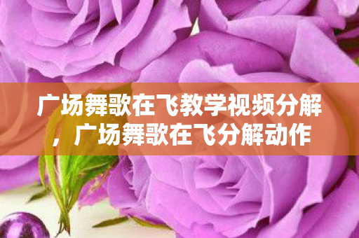 广场舞歌在飞教学视频分解，广场舞歌在飞分解动作