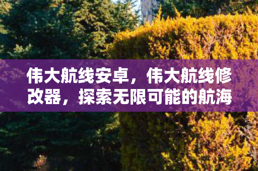 伟大航线安卓，伟大航线修改器，探索无限可能的航海之旅