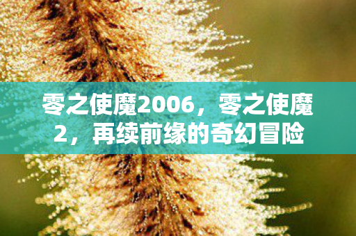 零之使魔2006,零之使魔2,再续前缘的奇幻冒险 零之使魔2006,零之使魔2,再续前缘的奇幻冒险