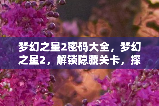梦幻之星2密码大全,梦幻之星2,解锁隐藏关卡,探索未知世界 梦幻之星2密码大全,梦幻之星2,解锁隐藏关卡,探索未知世界