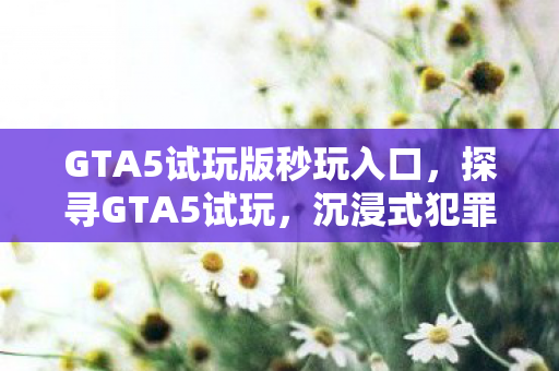 GTA5试玩版秒玩入口,探寻GTA5试玩,沉浸式犯罪体验与自由度的极致展现 GTA5试玩版秒玩入口,探寻GTA5试玩,沉浸式犯罪体验与自由度的极致展现