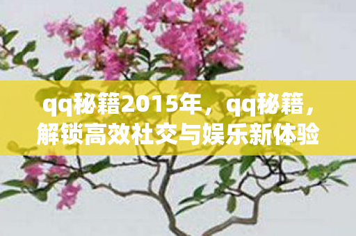 qq秘籍2015年,qq秘籍,解锁高效社交与娱乐新体验 qq秘籍2015年,qq秘籍,解锁高效社交与娱乐新体验