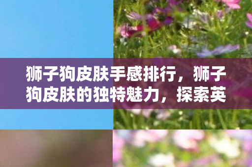 狮子狗皮肤手感排行,狮子狗皮肤的独特魅力,探索英雄联盟中的狂野美学 狮子狗皮肤手感排行,狮子狗皮肤的独特魅力,探索英雄联盟中的狂野美学